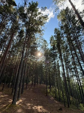 Купить дачу в Тюменской области. Вариант № 40399, 34, площадь -  квм, цена 650000 рублей