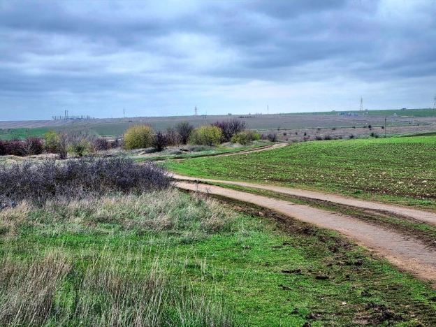 Купить земельный участок в Республике Крым. Вариант № 9820359, 5, площадь -  квм, цена 2500000 рублей