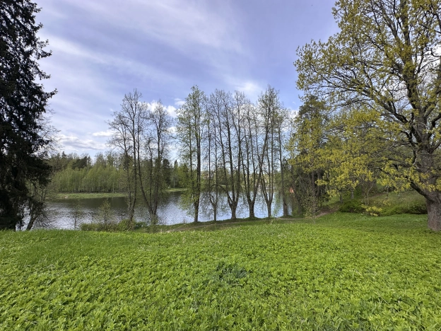 Купить земельный участок в Новгородской области. Вариант № 44811, 1, площадь -  квм, цена 6600000 рублей