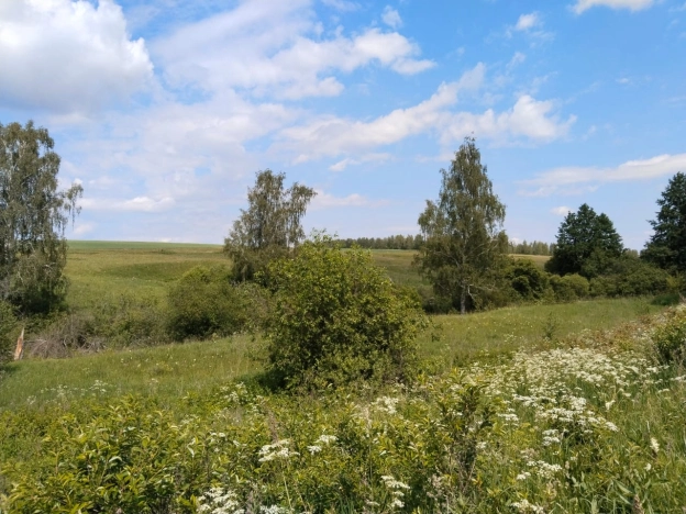 Купить земельный участок в Рязанской области. Вариант № 53485, 2, площадь -  квм, цена 700000 рублей