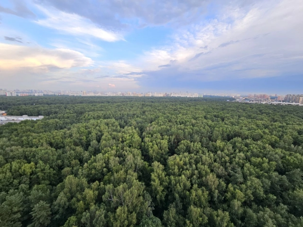 Купить однокомнатную квартиру у метро Планерная в Химках. Вариант № 273113, 28, площадь -  квм, цена 11990000 рублей