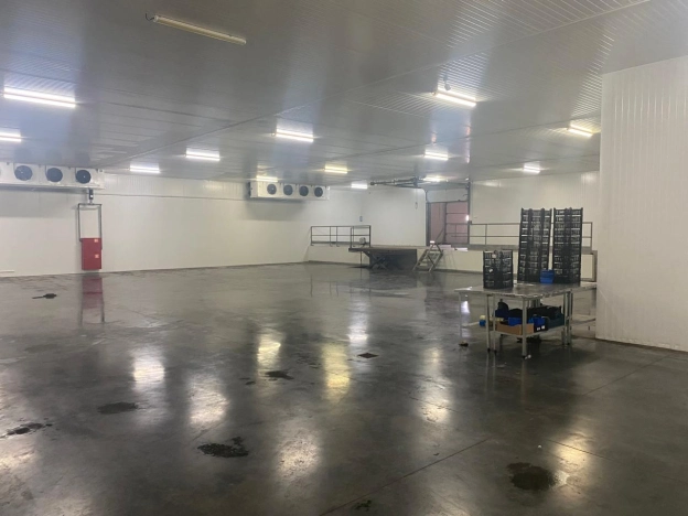 Купить коммерческую недвижимость свободного назначения в Рязани. Вариант № 51837, 13, площадь -  квм, цена 650000000 рублей