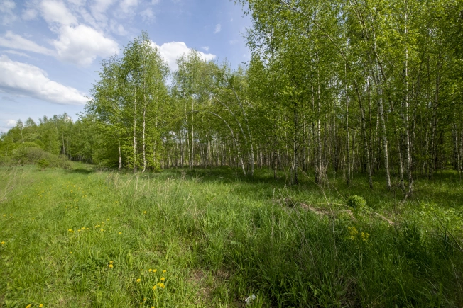 Купить земельный участок на улице Овражная в Нижегородской области. Вариант № 43313, 7, площадь -  квм, цена 700000 рублей