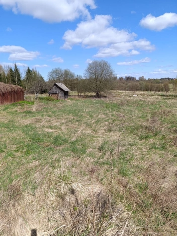 Купить земельный участок в Новгородской области. Вариант № 172312, 4, площадь -  квм, цена 1400000 рублей