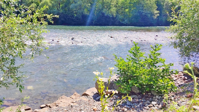 Купить земельный участок в Республике Адыгея (адыгея). Вариант № 927912, 22, площадь -  квм, цена 36000000 рублей