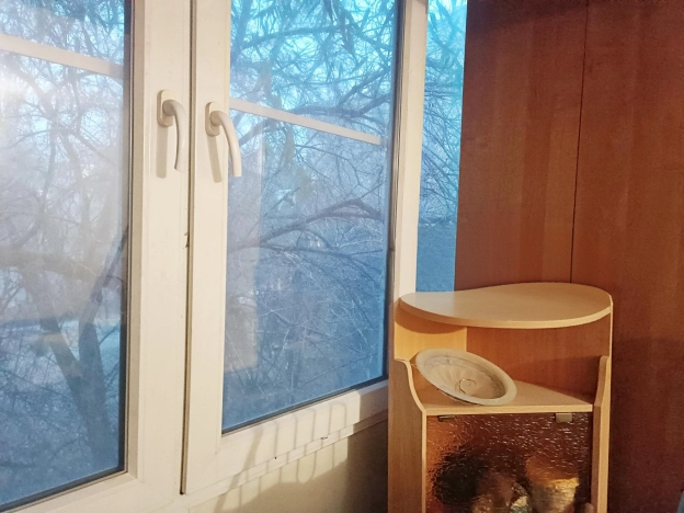 Купить однокомнатную квартиру в Волгограде. Вариант № 9646530, 6, площадь -  квм, цена 3500000 рублей