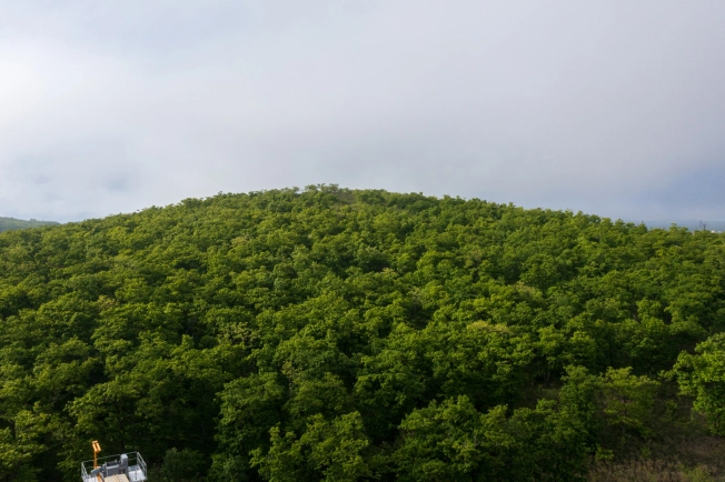 Купить двухкомнатную квартиру в новостройках в Приморском крае. Вариант № 4136977, 3, площадь -  квм, цена 10592700 рублей