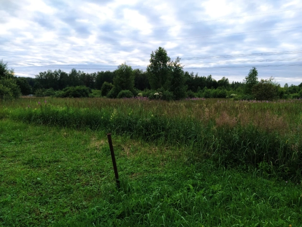 Купить земельный участок в Тульской области. Вариант № 3992, 4, площадь -  квм, цена 350000 рублей