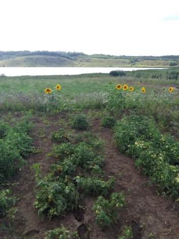 . Вариант № 1889252, 39, площадь - 118.4 квм, цена 6300000 рублей