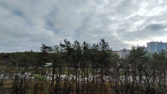 Купить квартиру в Воронеже. Вариант № 9277512, 17, площадь - квм, цена 7770000 рублей