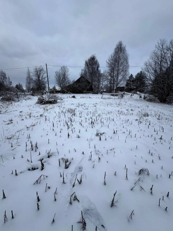 Купить земельный участок в Ярославской области. Вариант № 9506708, 3, площадь -  квм, цена 880000 рублей