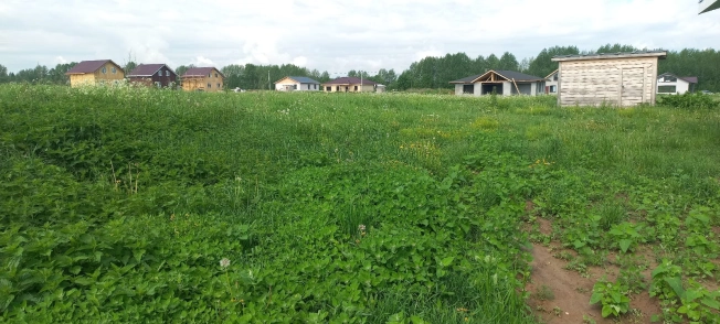 Купить земельный участок в Вологодской области. Вариант № 210069, 5, площадь -  квм, цена 2400000 рублей
