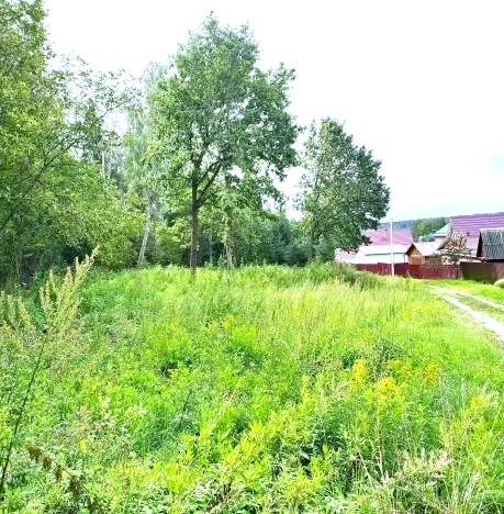 Купить земельный участок в Москве. Вариант № 7775500, 5, площадь -  квм, цена 6800000 рублей