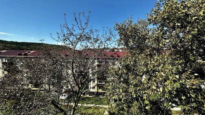 Купить однокомнатную квартиру в Корсакове. Вариант № 3609, 5, площадь - квм, цена 4850000 рублей