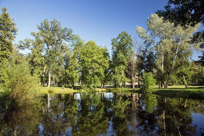 Купить земельный участок в Воронеже. Вариант № 12024, 6, площадь -  квм, цена 18000000 рублей
