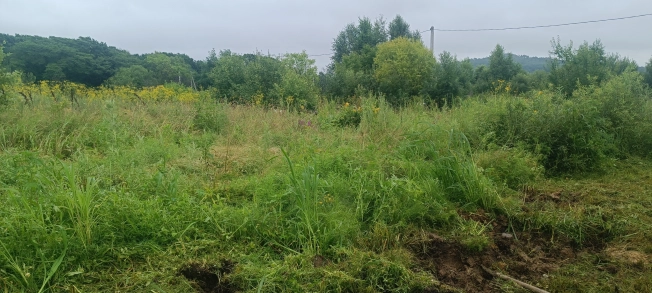 Купить земельный участок в Микрорайоне Сахпосёлок, Уссурийск в Уссурийске. Вариант № 10738, 8, площадь -  квм, цена 350000 рублей