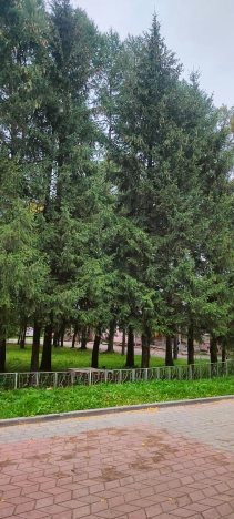 Купить однокомнатную квартиру в Микрорайоне 5-й в Вологде. Вариант № 36313, 36, площадь -  квм, цена 3400000 рублей