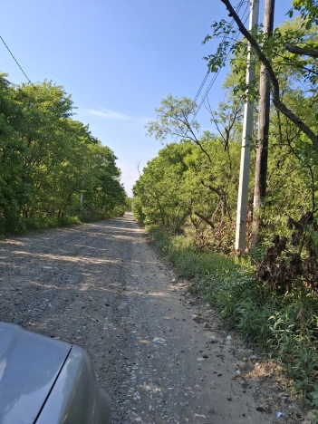 Купить земельный участок в Уссурийске. Вариант № 50909, 0, площадь -  квм, цена 500000 рублей