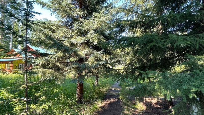 Купить земельный участок в Иркутске. Вариант № 2950169, 4, площадь -  квм, цена 94000000 рублей