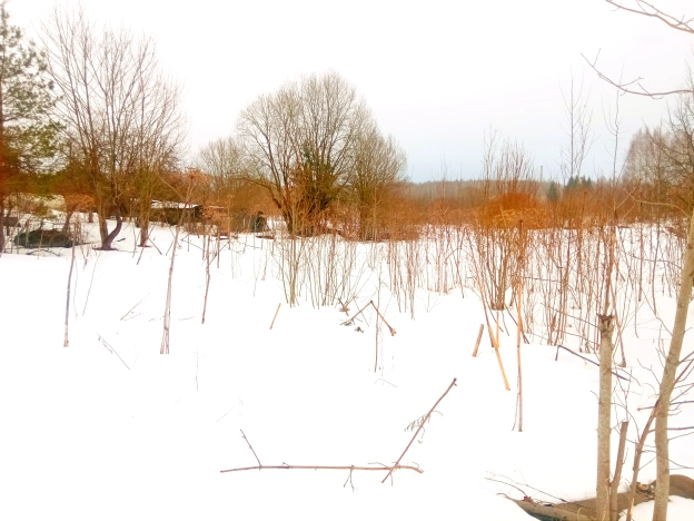 Купить земельный участок в Смоленской области. Вариант № 4524, 2, площадь -  квм, цена 600000 рублей