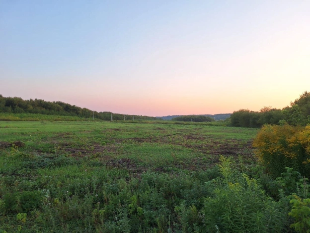 Купить земельный участок в Воронеже. Вариант № 23366, 6, площадь -  квм, цена 1180000 рублей