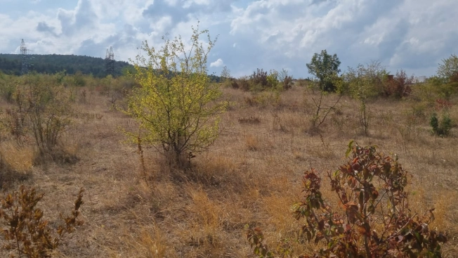 . Вариант № 3423831, 8, площадь -  квм, цена 2100000 рублей