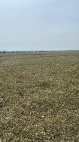 Купить земельный участок в Иркутской области. Вариант № 8929, 2, площадь - квм, цена 165000 рублей