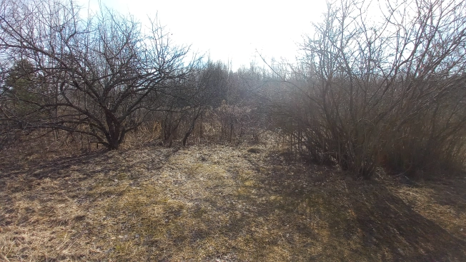 Купить земельный участок в Ярославской области. Вариант № 30989, 4, площадь -  квм, цена 4000000 рублей