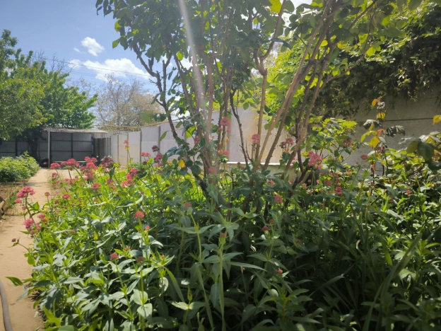 Купить трехкомнатную квартиру на улице Олега Кошевого в Керчи. Вариант № 14522, 13, площадь -  квм, цена 5600000 рублей