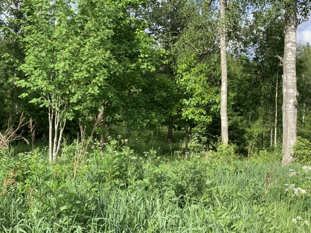 Купить земельный участок в Сергиеве Посаде. Вариант № 13056, 9, площадь -  квм, цена 2800000 рублей