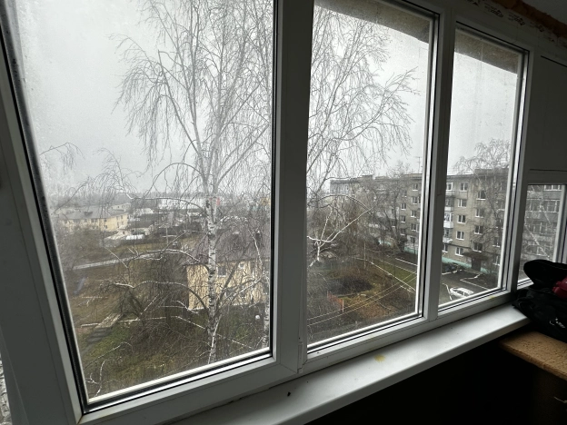 Купить двухкомнатную квартиру на вторичке в Пензенской области. Вариант № 9771903, 2, площадь -  квм, цена 3900000 рублей