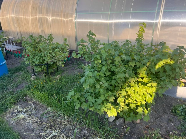 . Вариант № 35321, 20, площадь - 112 квм, цена 6700000 рублей