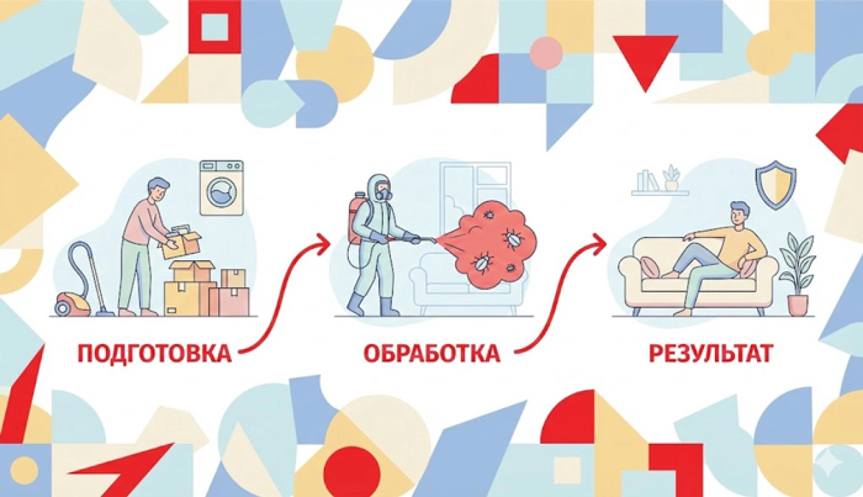 Как избавиться от клопов? Поиск гнезд, эффективные яды и инструкция